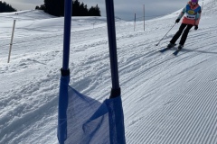 Marvin_IMG_3753.jpeg_compressed