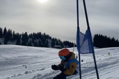 Marvin_IMG_3759.jpeg_compressed