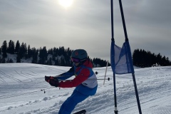 Marvin_IMG_3764.jpeg_compressed