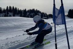 Marvin_IMG_3768.jpeg_compressed