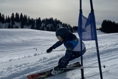 Marvin_IMG_3774.jpeg_compressed