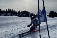 Marvin_IMG_3779.jpeg_compressed