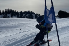 Marvin_IMG_3782.jpeg_compressed