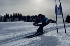 Marvin_IMG_3787.jpeg_compressed