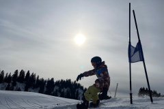 Marvin_IMG_3791.jpeg_compressed