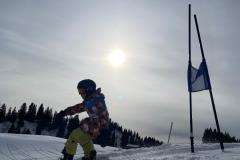 Marvin_IMG_3792.jpeg_compressed