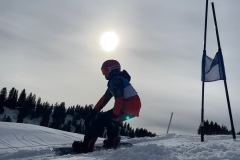 Marvin_IMG_3798.jpeg_compressed