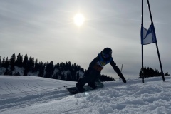 Marvin_IMG_3802.jpeg_compressed