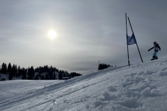 Marvin_IMG_3809.jpeg_compressed