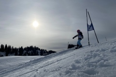 Marvin_IMG_3810.jpeg_compressed