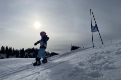 Marvin_IMG_3811.jpeg_compressed