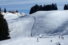 Nina_IMG_7010.jpeg_compressed