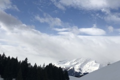 Donnerstag  17.02.2022