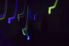DSC0833