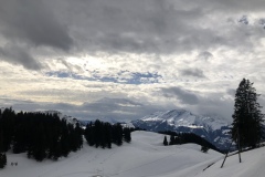 F1F521F6-1513-4248-892E-176CEEE6DD48