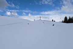 PXL_20220217_095741736