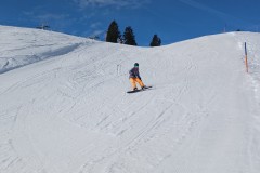 J_20240216_103038.jpg_compressed