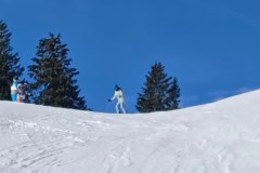 J_20240216_103050.jpg_compressed