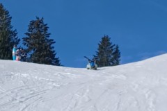 J_20240216_103059.jpg_compressed