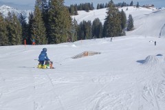 J_20240216_113930.jpg_compressed