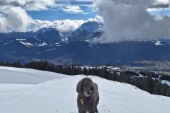 J_IMG-20240216-WA0004.jpg_compressed