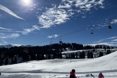 49381B32-3AE3-42F8-94E7-8EE7EE15C4D0