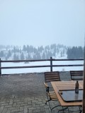 Alessia_20250212_120249.jpg_compressed
