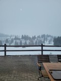 Alessia_20250212_120300.jpg_compressed