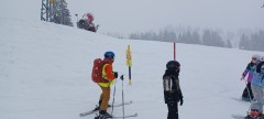 J_20250212_122106.jpg_compressed