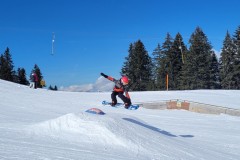 Alessia_20240213_121400.jpg_compressed