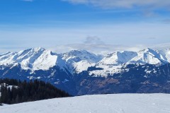 Alessia_20240214_122142.jpg_compressed