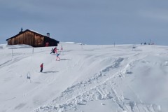 J_20240214_105142.jpg_compressed