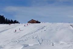 J_20240214_105205.jpg_compressed