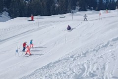 J_20240214_105222.jpg_compressed