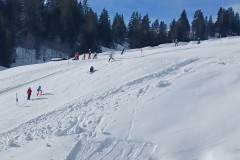 J_20240214_105236.jpg_compressed