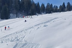 J_20240214_105240.jpg_compressed