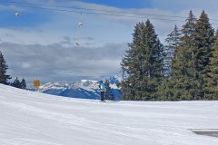 J_20240214_115058.jpg_compressed