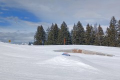 J_20240214_115124.jpg_compressed