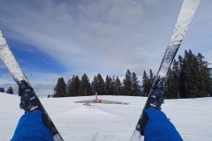 J_20240214_115412.jpg_compressed