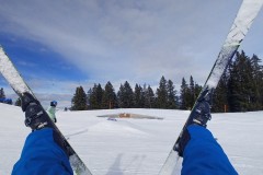 J_20240214_115428.jpg_compressed