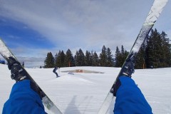 J_20240214_115432.jpg_compressed