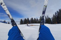 J_20240214_115520.jpg_compressed