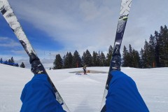 J_20240214_1155200.jpg_compressed