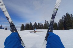 J_20240214_1155240.jpg_compressed