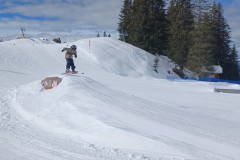 J_20240214_115826.jpg_compressed