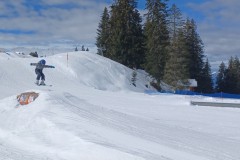 J_20240214_115828.jpg_compressed