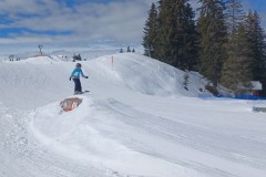 J_20240214_115854.jpg_compressed