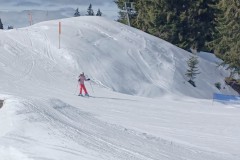 J_20240214_115935.jpg_compressed