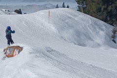 J_20240214_120019.jpg_compressed