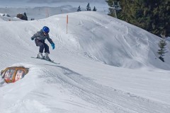 J_20240214_120020.jpg_compressed